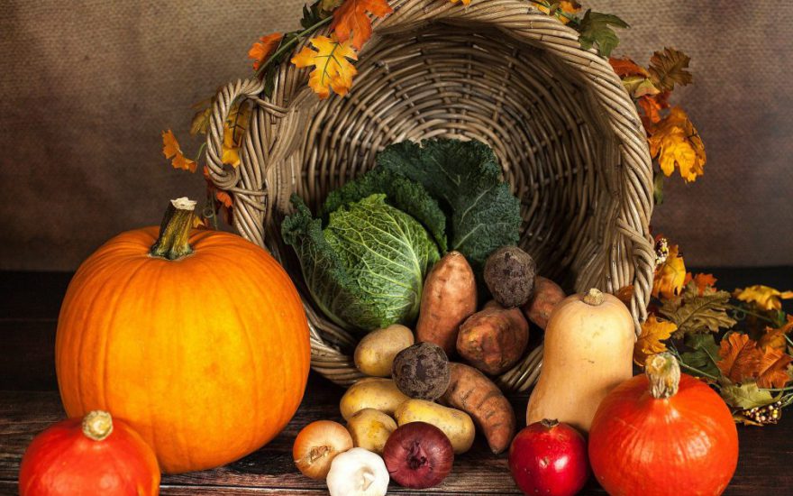 pumpkin-1768857_1920-1-1008×720