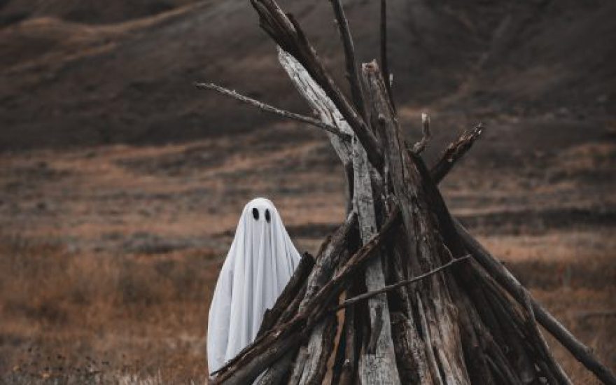 tandem-x-visuals-22fQ07d4xKE-unsplash-480×720